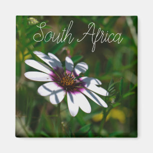 West Coast South Africa Wilde Flower ZA Magneet