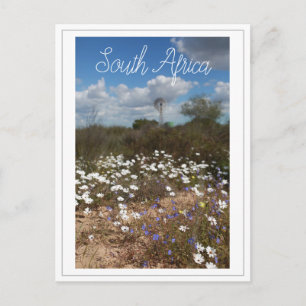 West Coast South Africa Wilde Flowers Briefkaart