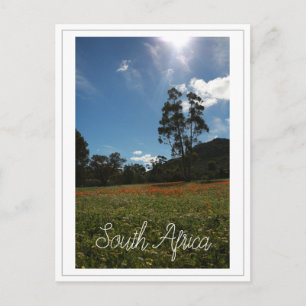 West Coast South Africa Wilde Flowers Briefkaart