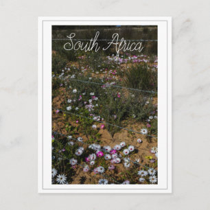West Coast South Africa Wilde Flowers Briefkaart