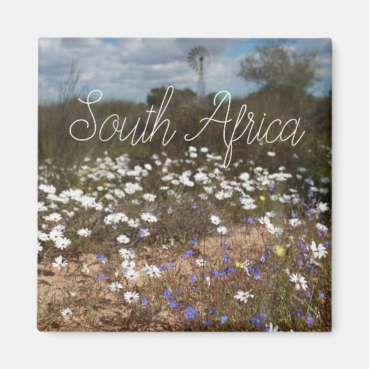 West Coast South Africa Wilde Flowers Wind Pump ZA Magneet (Voorkant)