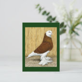 West-Engeland Tumbler Red Baldhead Briefkaart (Staand voorkant)