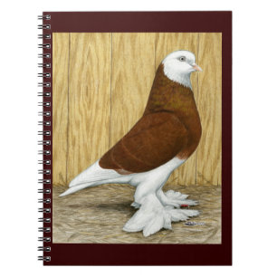 West-Engeland Tumbler Red Baldhead Notitieboek