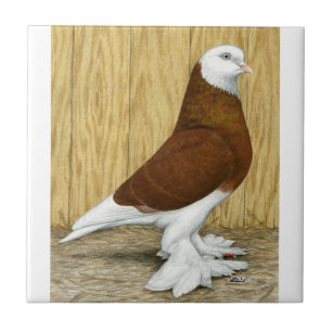 West-Engeland Tumbler Red Baldhead Tegeltje