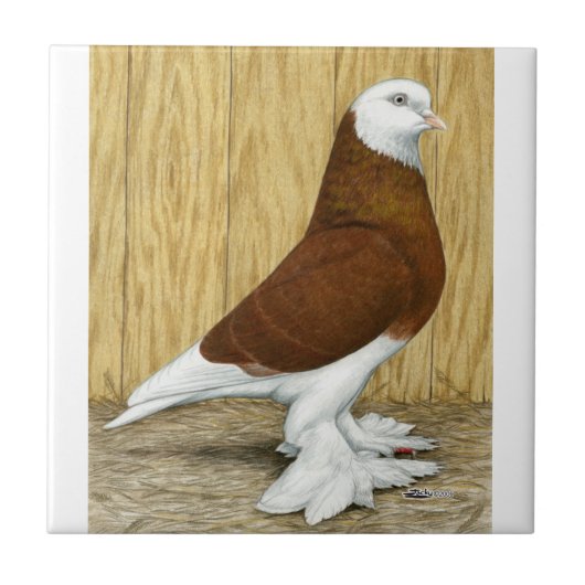 West-Engeland Tumbler Red Baldhead Tegeltje (Voorkant)