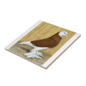 West-Engeland Tumbler Red Baldhead Tegeltje (Zijkant)