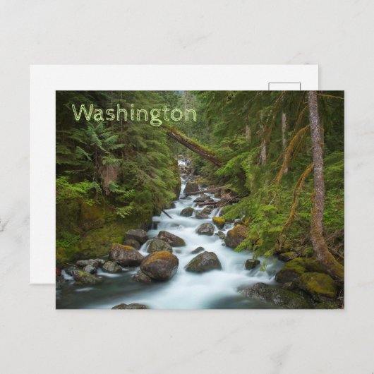 West Fork Foss, Washington Briefkaart (Voorkant / Achterkant)