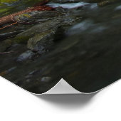 West Fork Foss, Washington Poster (Hoek)