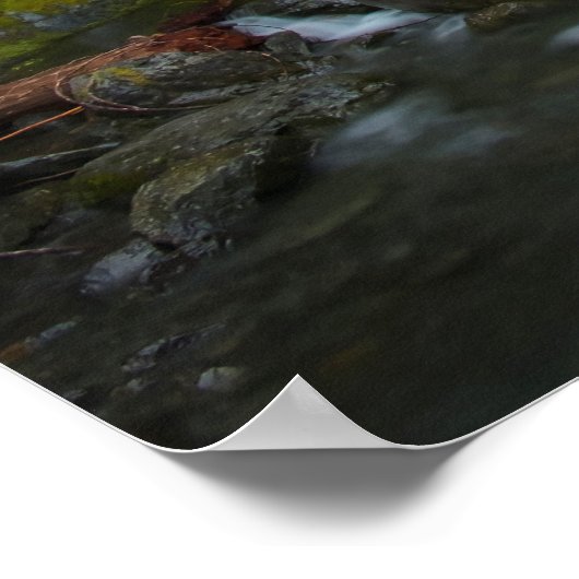 West Fork Foss, Washington Poster (Hoek)