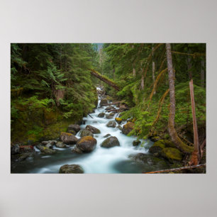 West Fork Foss, Washington Poster