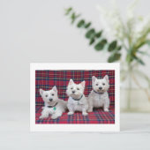 West Highland Terrier Briefkaart (Staand voorkant)