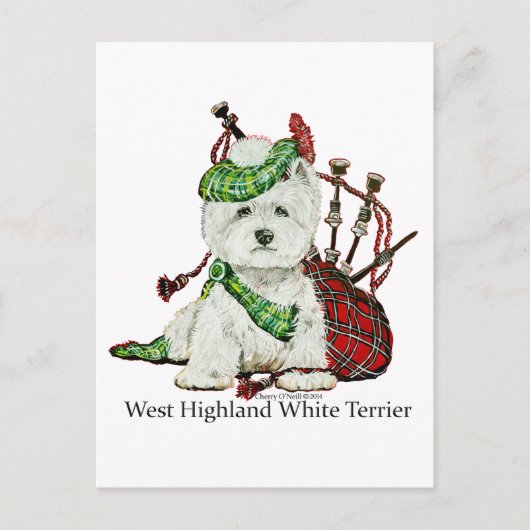West Highland Terrier Briefkaart (Voorkant)