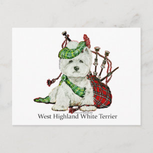 West Highland Terrier Briefkaart