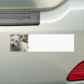 West Highland Terrier Bumperstickers (Op auto)