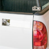 West Highland Terrier Bumperstickers (Op Truck)