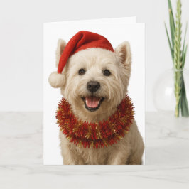 West Highland Terrier Christmas card Kaart
