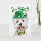 West Highland Terrier Dog Lucky St Patrick's Day Feestdagen Kaart (Voorkant)