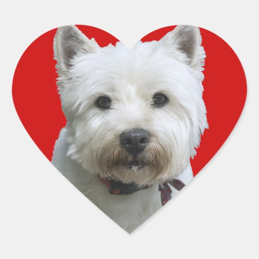 West Highland Terrier Hart Sticker (Voorkant)