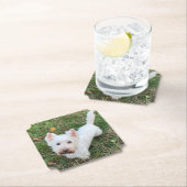 West Highland Terrier Kartonnen Onderzetters (Insitu)