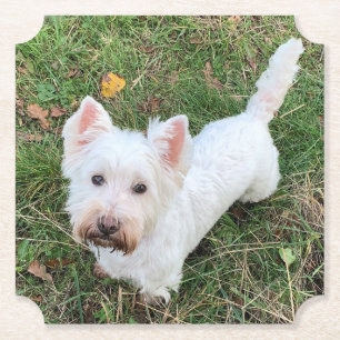 West Highland Terrier Kartonnen Onderzetters