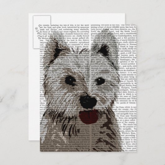 West Highland Terrier Plain Briefkaart (Voorkant / Achterkant)