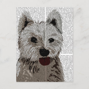 West Highland Terrier Plain Briefkaart
