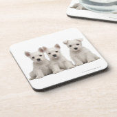 West Highland Terrier puppies (7 weken oud) Drankjes Onderzetter (Linkerzijde)