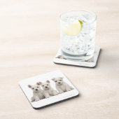 West Highland Terrier puppies (7 weken oud) Drankjes Onderzetter (Rechterzijde)