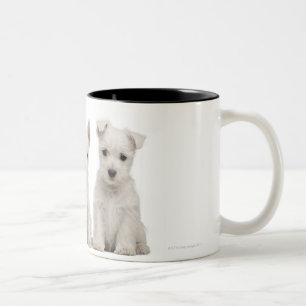 West Highland Terrier puppies (7 weken oud) Tweekleurige Koffiemok