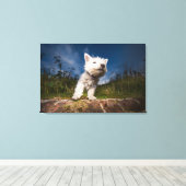 West Highland Terrier Puppy Canvas Afdruk (Insitu (Houten vloer))