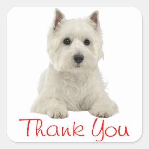 West Highland Terrier Puppy Dog Red Bedankt Vierkante Sticker