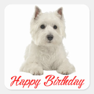 West Highland Terrier Puppy Dog Red Happy Birthday Vierkante Sticker