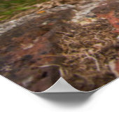 West Highland Terrier Puppy Poster (Hoek)