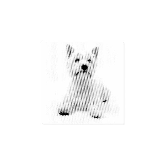 West Highland Terrier Rubberstempel (Afrduk)