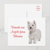 West Highland Terrier Westie Honden Vrienden Ansic Briefkaart (Voorkant / Achterkant)