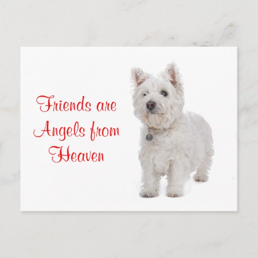 West Highland Terrier Westie Honden Vrienden Ansic Briefkaart (Voorkant)