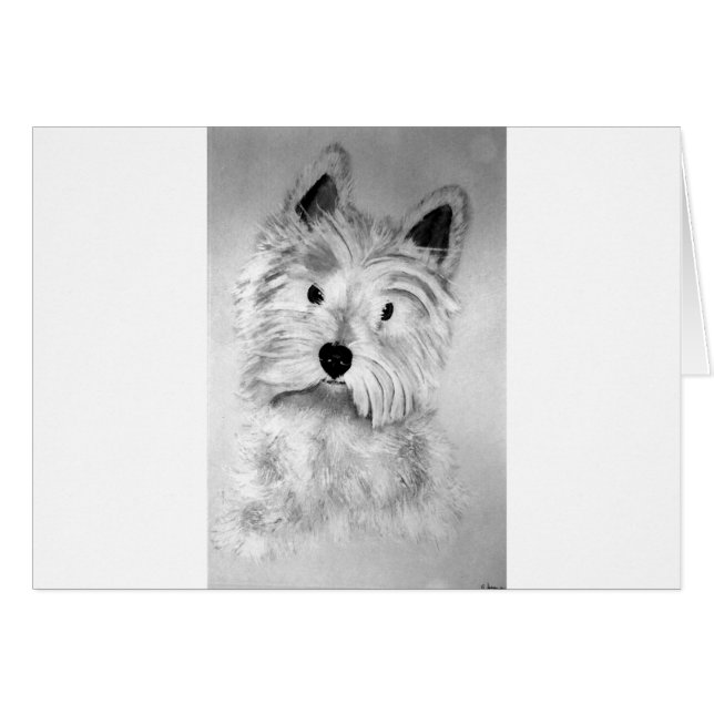 West Highland White Terrier (Voorkant Horizontaal)