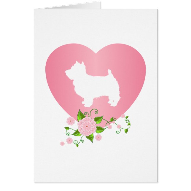West Highland White Terrier (Voorkant)
