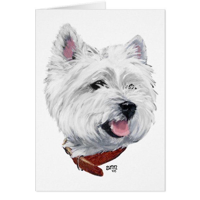 West Highland White Terrier (Voorkant)