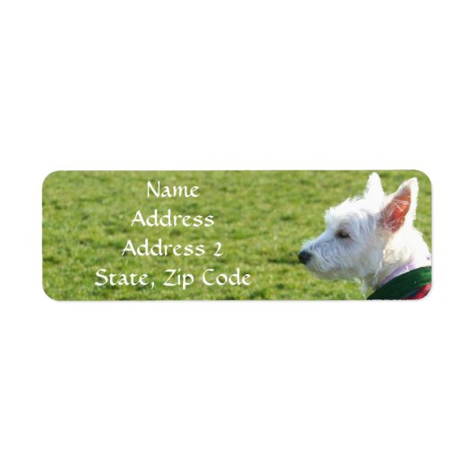 West Highland White Terrier Adresetiketten Etiket (Voorkant)