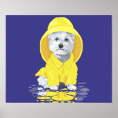 West Highland White Terrier April Showers Poster (Voorkant)