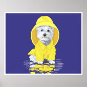 West Highland White Terrier April Showers Poster (Voorkant)