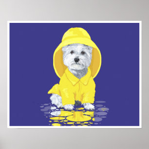 West Highland White Terrier April Showers Poster