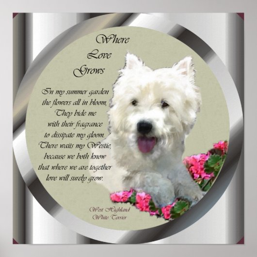 West Highland White Terrier Art Print (Voorkant)