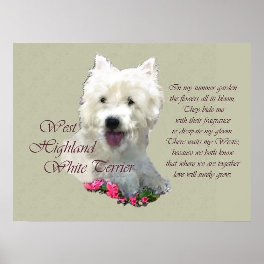 West Highland White Terrier Art Print (Voorkant)