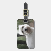 West Highland White Terrier Bagagelabel (Voorkant verticaal)