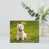 West Highland White Terrier Briefkaart (Staand voorkant)