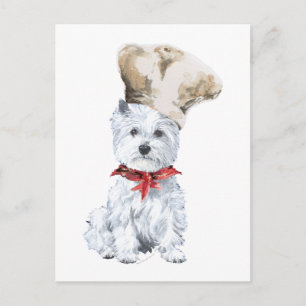 West Highland White Terrier Chef Briefkaart