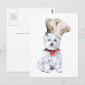 West Highland White Terrier Chef-kok Briefkaart (Voorkant / Achterkant)