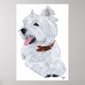 West Highland White Terrier Chef Poster (Voorkant)